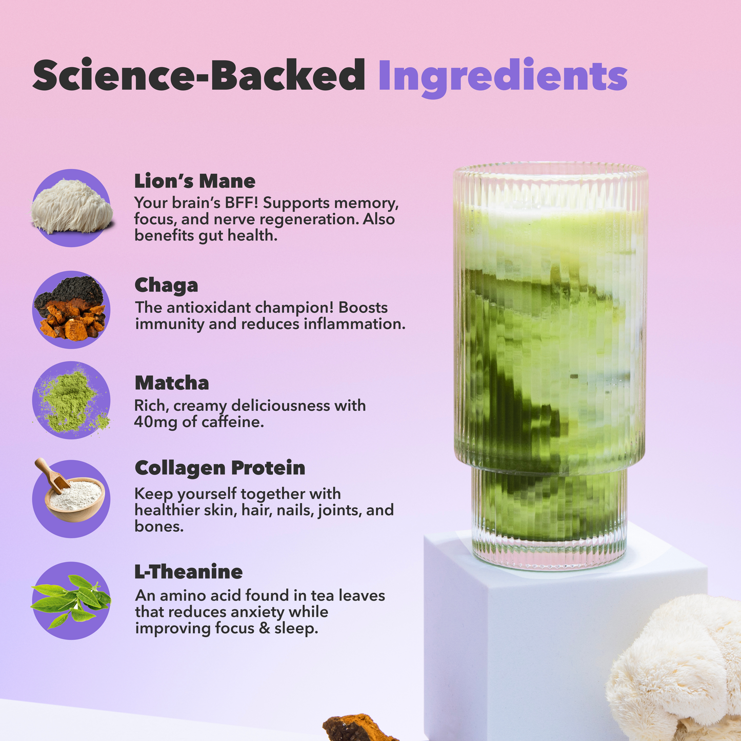 90-servings-matcha-free-starter-kit-c2 custom_resized_386f63f8-0691-449c-9e51-462fed6c0033.png